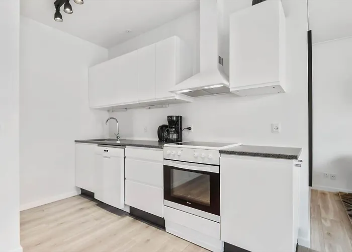 Bv100-blavand-blavandvej-53-c 公寓 *